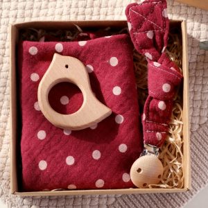 Pacifier Clip Chain, Teething Bracelet and Towel Box Set