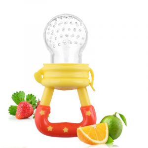 Silicone Pacifier & Fruit/Food Feeder