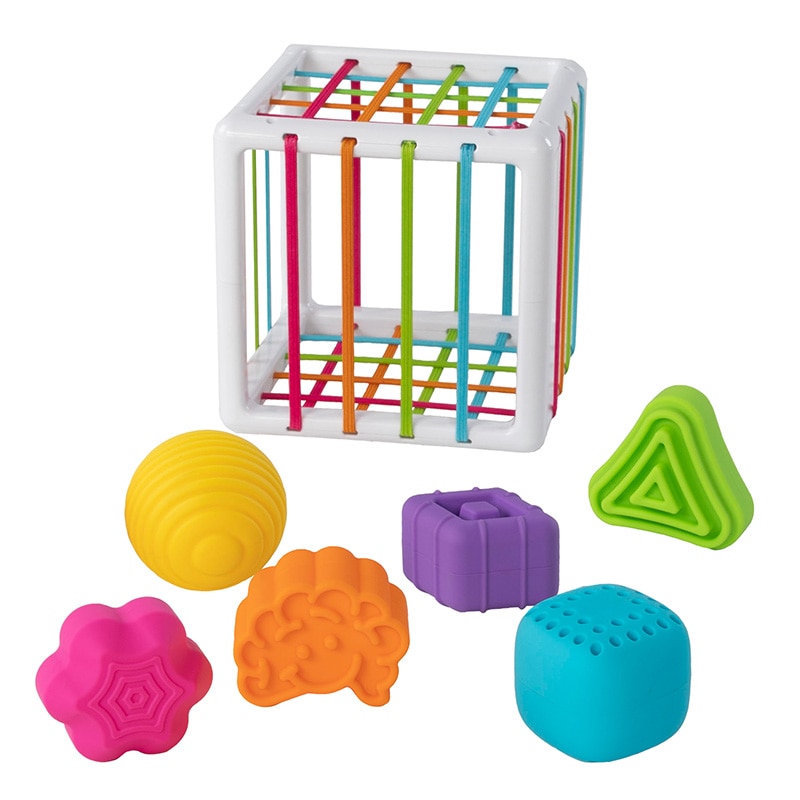 Educational Toy: Shape Sorting Brain Toys